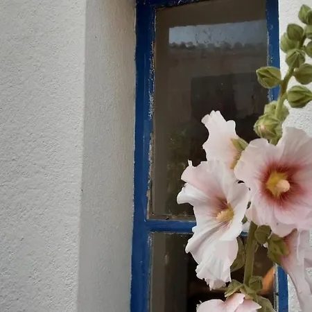 Charmante Maison De Pays Dans Le Centre De St Denis D'oleron 펜션